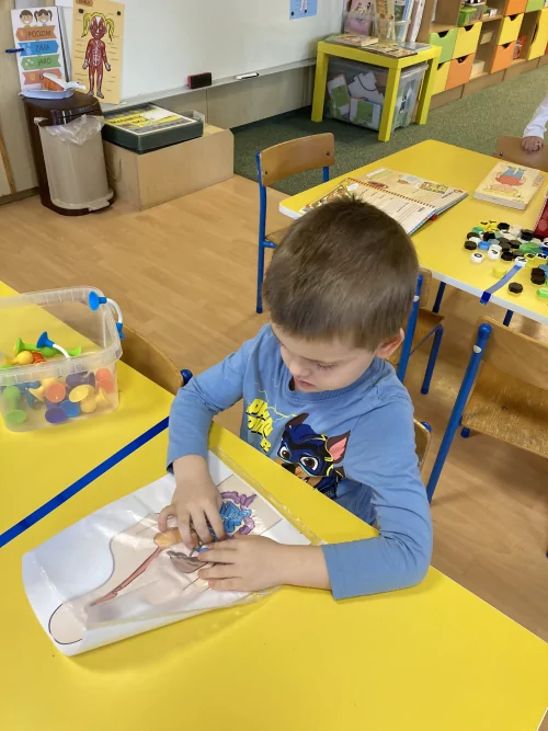 Fotogalerie MŠ Červená Hora - Naše tělo-zdraví, foto 7/28