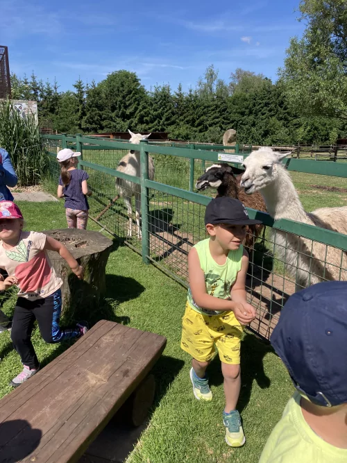 Fotogalerie MŠ Červená Hora - Výlet Broumov Wenet, foto 5/32