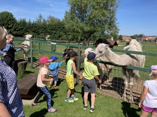 Fotogalerie MŠ Červená Hora - Výlet Broumov Wenet, foto 6/32