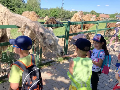 Fotogalerie MŠ Červená Hora - Výlet Broumov Wenet, foto 16/32