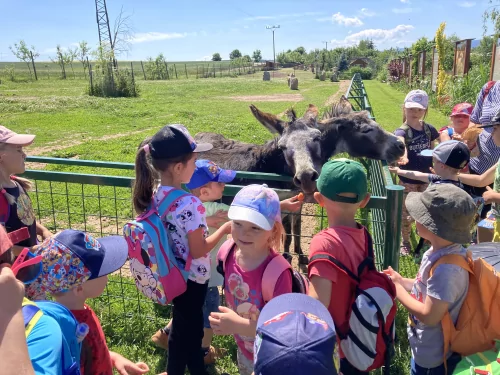 Fotogalerie MŠ Červená Hora - Výlet Broumov Wenet, foto 20/32