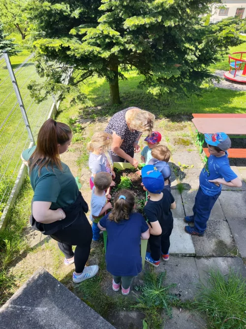 Fotogalerie MŠ Červená Hora - O hmyzu, foto 3/25