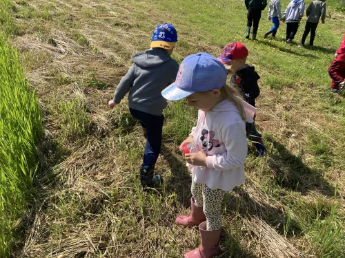 Fotogalerie MŠ Červená Hora - O hmyzu, foto 22/25