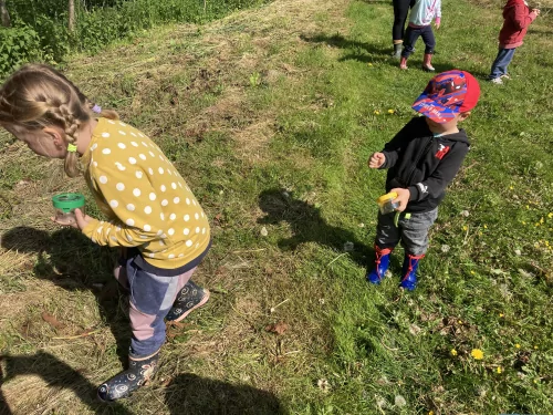 Fotogalerie MŠ Červená Hora - O hmyzu, foto 23/25