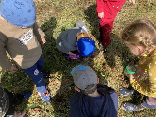 Fotogalerie MŠ Červená Hora - O hmyzu, foto 24/25