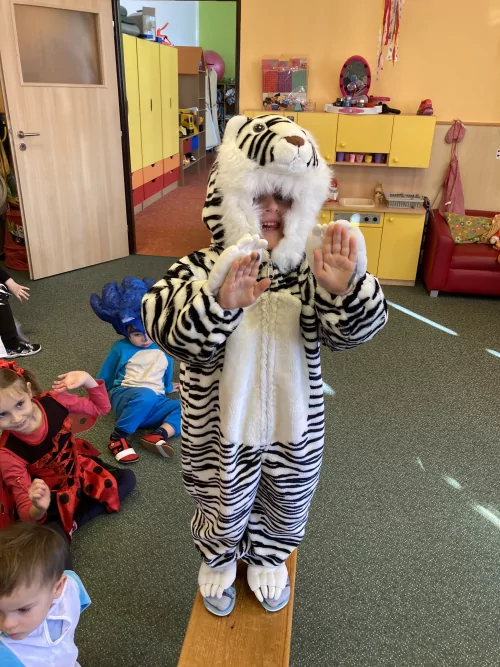 Fotogalerie MŠ Červená Hora - Valentýn a karneval 2025, foto 14/24