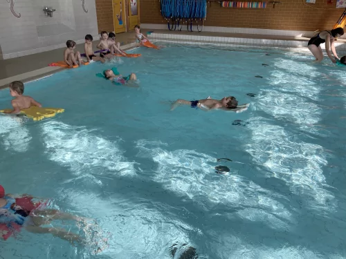 Fotogalerie MŠ Červená Hora - Plavecký výcvik 2025, foto 16/49