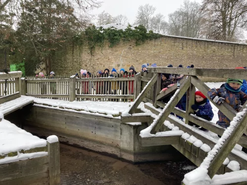Fotogalerie MŠ Červená Hora - Advent v Ratibořicích, foto 6/25