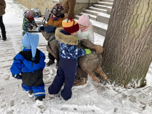 Fotogalerie MŠ Červená Hora - Kouzlo Vánoc-vánoční výstava v kempu Brodský, foto 14/14