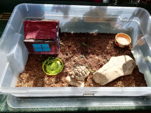 Fotogalerie MŠ Červená Hora - Želvísek, foto 3/3