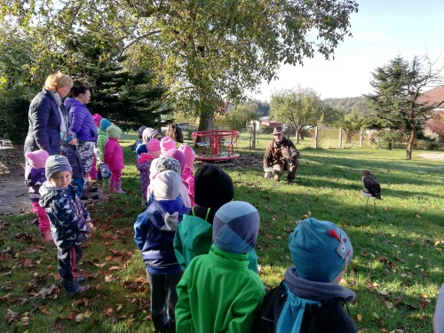 Fotogalerie MŠ Červená Hora - Dopoledne s dravci na zahradě - 7.října, foto 3/12