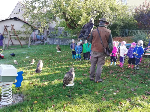 Fotogalerie MŠ Červená Hora - Dopoledne s dravci na zahradě - 7.října, foto 7/12