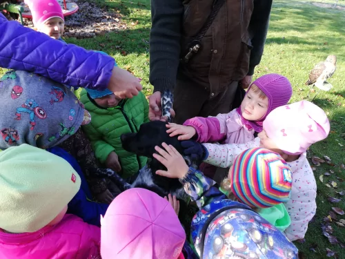 Fotogalerie MŠ Červená Hora - Dopoledne s dravci na zahradě - 7.října, foto 8/12
