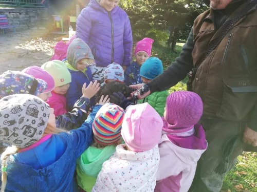 Fotogalerie MŠ Červená Hora - Dopoledne s dravci na zahradě - 7.října, foto 9/12