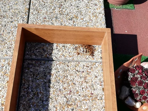 Fotogalerie MŠ Červená Hora - Želvísek v Olešnici, foto 2/9