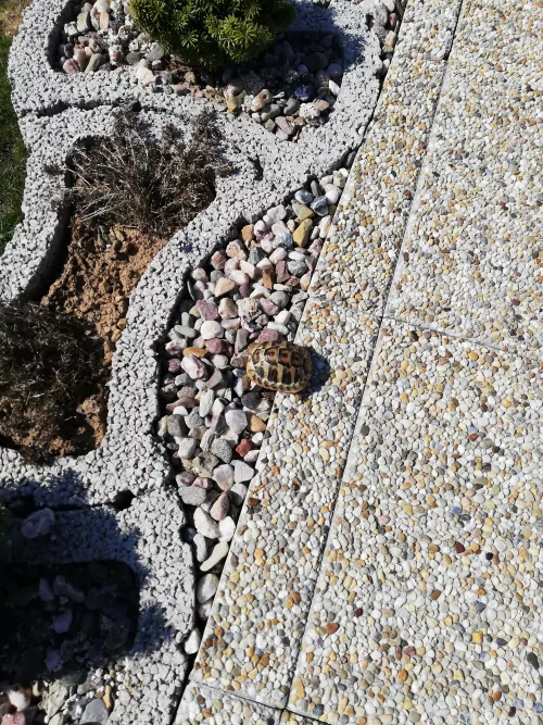 Fotogalerie MŠ Červená Hora - Želvísek v Olešnici, foto 4/9