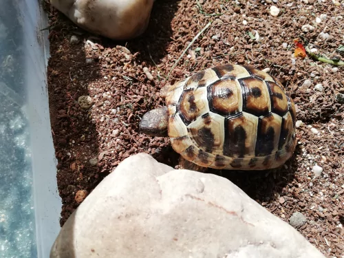 Fotogalerie MŠ Červená Hora - Želvísek v Olešnici, foto 6/9