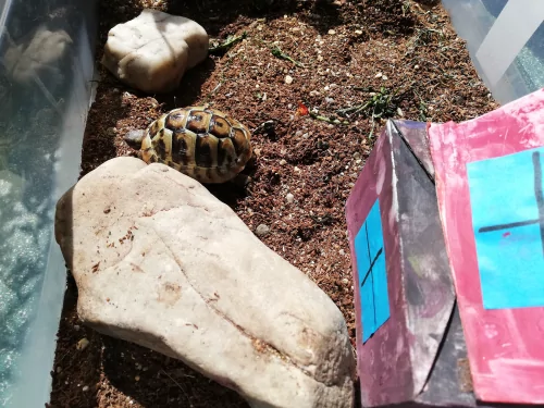 Fotogalerie MŠ Červená Hora - Želvísek v Olešnici, foto 7/9