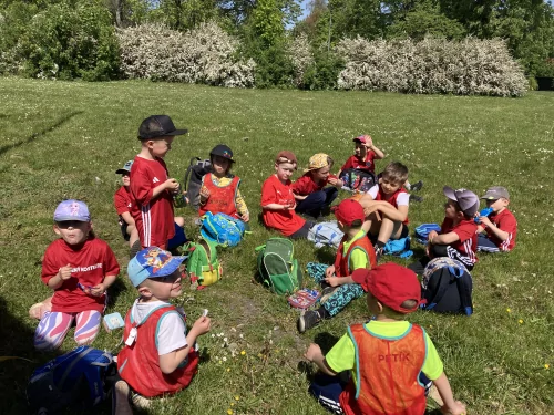 Fotogalerie MŠ Červená Hora - Výlet na fotbal do Hradce Králové Malšovická aréna, foto 11/11