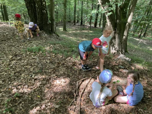 Fotogalerie MŠ Červená Hora - Střípky ze školky, foto 3/14