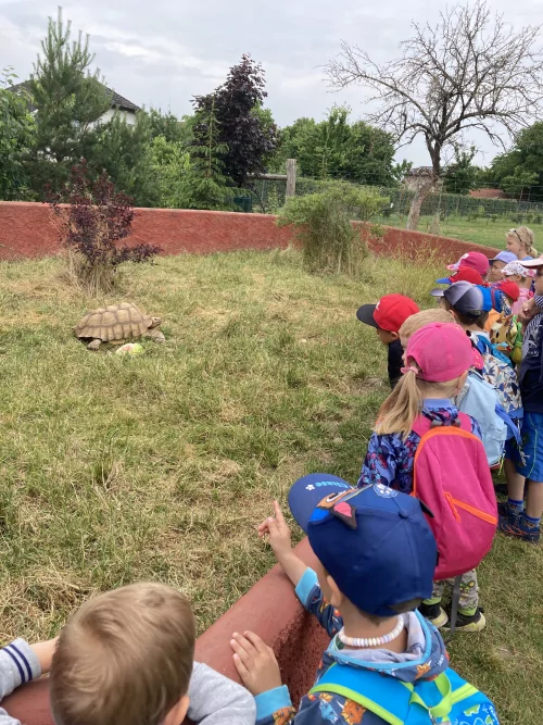 Fotogalerie MŠ Červená Hora - Stěžery, foto 5/23