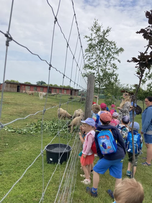 Fotogalerie MŠ Červená Hora - Stěžery, foto 6/23