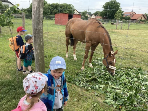 Fotogalerie MŠ Červená Hora - Stěžery, foto 7/23