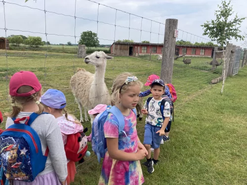 Fotogalerie MŠ Červená Hora - Stěžery, foto 8/23