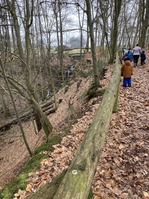 Fotogalerie MŠ Červená Hora - Vycházka ke krmelci, foto 6/14