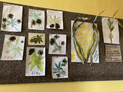 Fotogalerie MŠ Červená Hora - Podzimní tvoření, foto 7/19