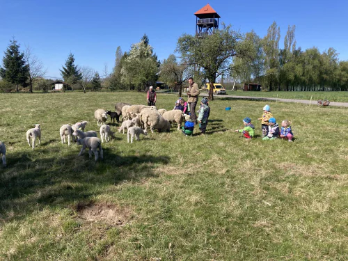 Fotogalerie MŠ Červená Hora - Farma u Domáňů na Žernově, foto 4/8