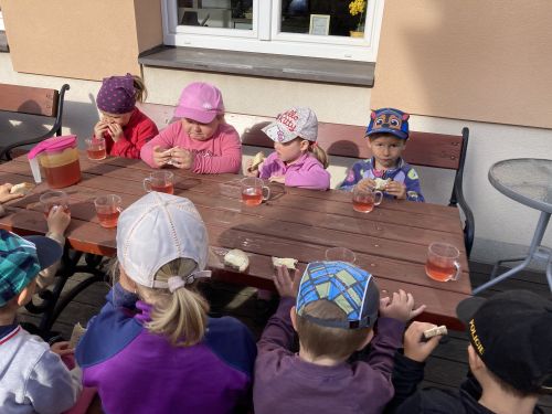 Fotoalbum MDD s MŠ Studánka