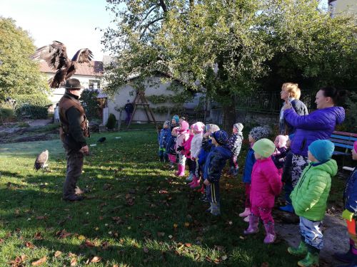 Fotoalbum Dopoledne s dravci na zahradě - 7.října