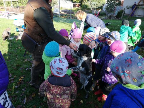 Fotoalbum Dopoledne s dravci na zahradě - 7.října