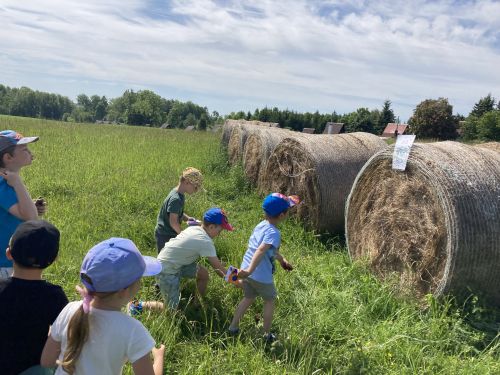 Fotoalbum MDD s MŠ Studánka