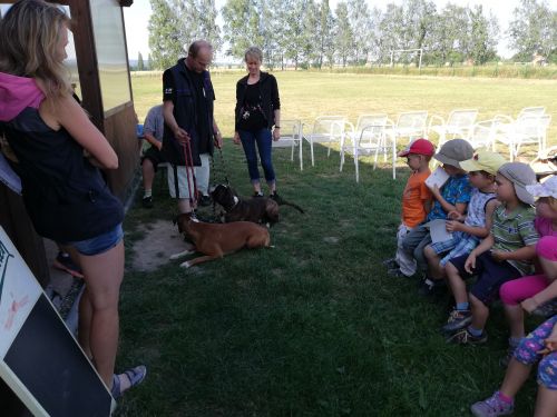 Fotoalbum Agility na Žernově u Šatných- červen