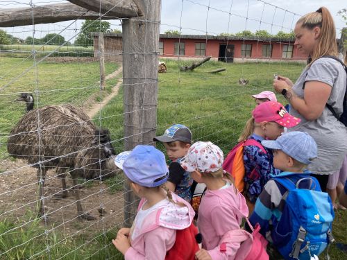 Fotoalbum Stěžery