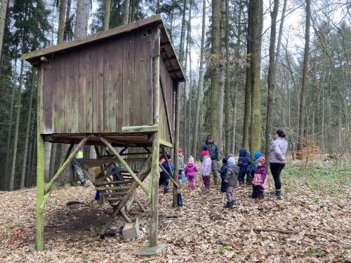 Fotoalbum Vycházka ke krmelci