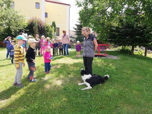 Fotoalbum Agility v MŠ Červená Hora s p. Řehákovou -září