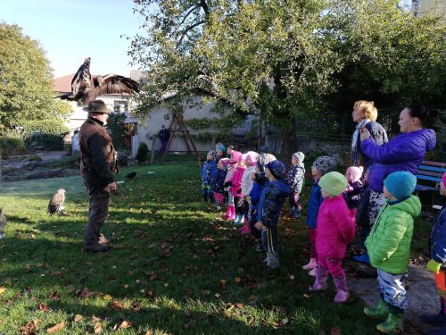 Fotoalbum Dopoledne s dravci na zahradě - 7.října