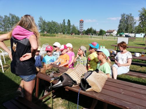 Fotoalbum Agility na Žernově u Šatných- červen