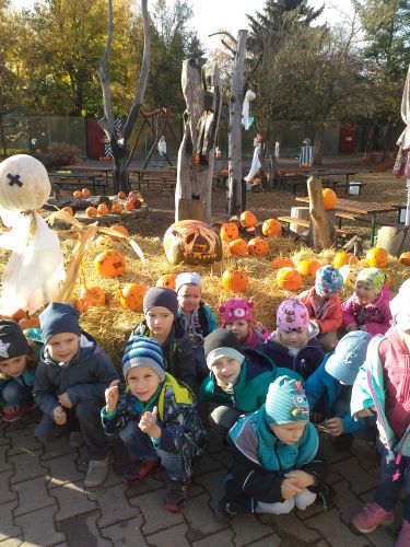 Fotoalbum Haloweenn v ZOO Dvůr Králové nad Labem - listopad